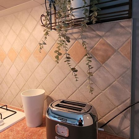 La Maison Aux Iris Pocé-sur-Cisse المظهر الخارجي الصورة