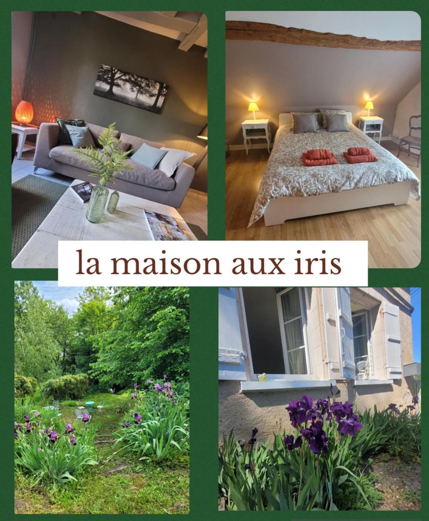 La Maison Aux Iris Pocé-sur-Cisse المظهر الخارجي الصورة