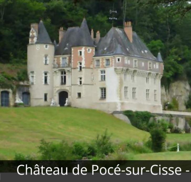 La Maison Aux Iris Pocé-sur-Cisse المظهر الخارجي الصورة