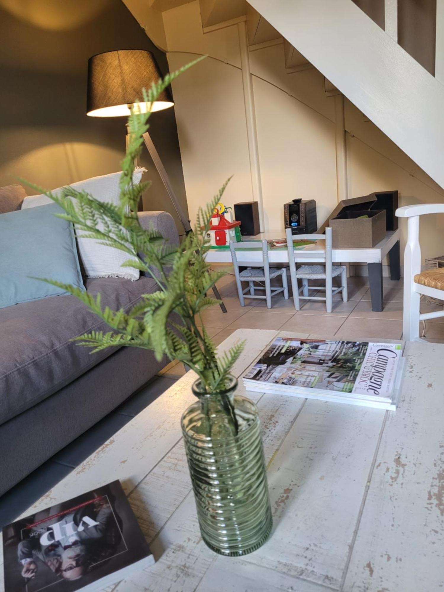 La Maison Aux Iris Pocé-sur-Cisse المظهر الخارجي الصورة