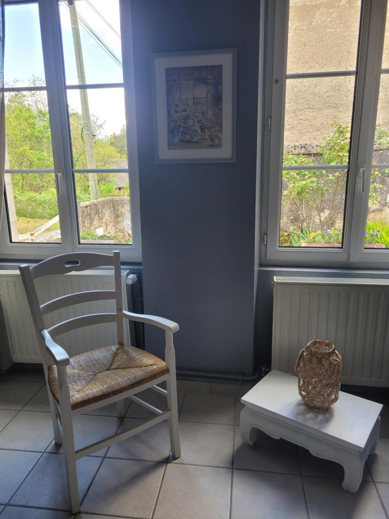 La Maison Aux Iris Pocé-sur-Cisse المظهر الخارجي الصورة