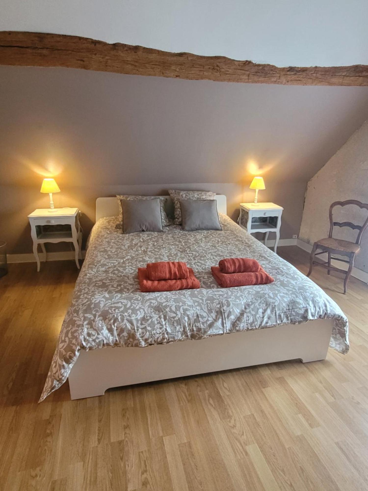 La Maison Aux Iris Pocé-sur-Cisse المظهر الخارجي الصورة
